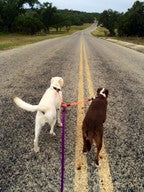 Load image into Gallery viewer, TUFF Leash 2-Dog Leash Splitter