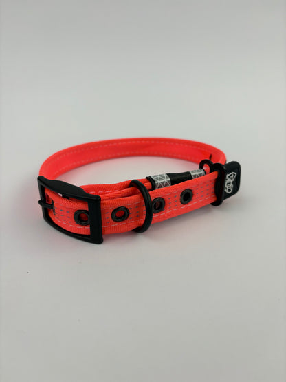 Classic TUFF Collar