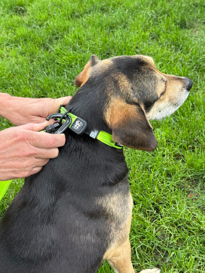 Carabiner TUFF Leash