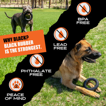 Chew Ring - For Power Chewers, USA Made, Lifetime Guarantee 