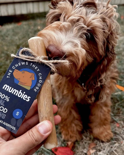 Original Chew by Mumbies
