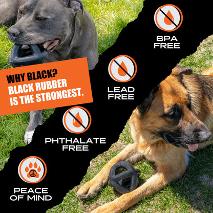 Ring Ball - For Power Chewers, USA Made, Lifetime Guarantee 